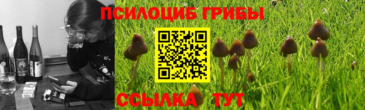 Псилоцибиновые грибы прущие грибы Кострома