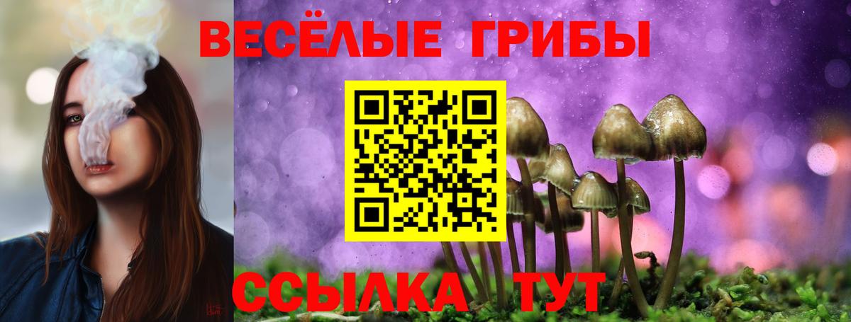 Псилоцибиновые грибы Psilocybe  Вход с VPN  Кострома 